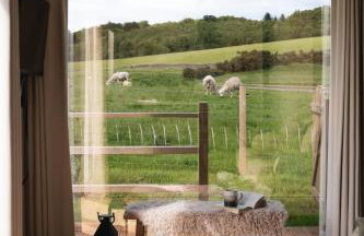 The Barn, Summerhill Farm Stays - Foto 13