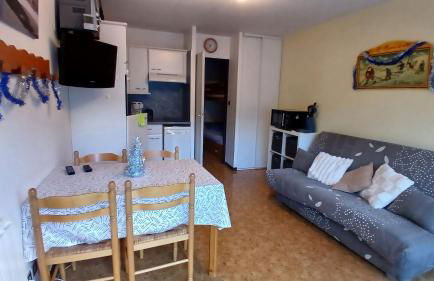 Appar T2 3 lits vue montagne terrasse vielle aure - Foto 29