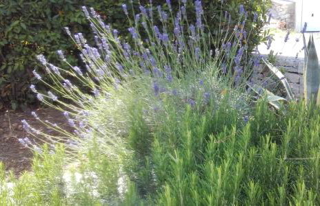 Villa SARA - Photo 29