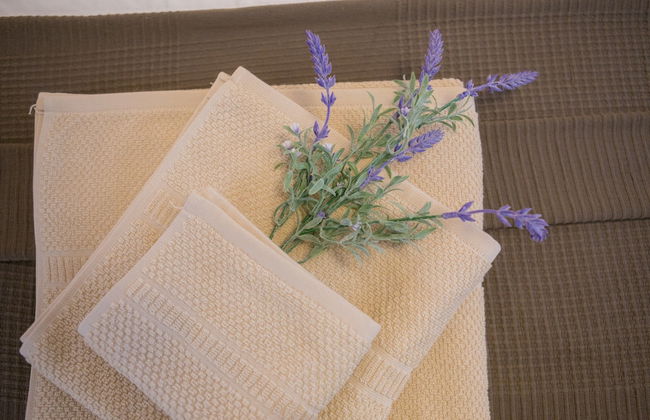 Apartments Zlatin Dvor - Foto 70