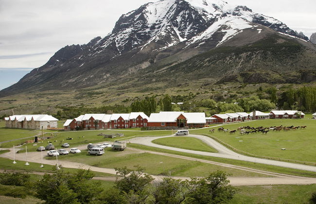 Parco Nazionale Torres del Paine - Escursione di un'intera giornata - Foto 3