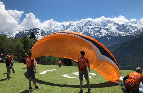 Fizhome Mt Blanc - Photo 4