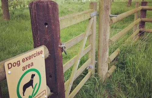 Teal Lodge - Foto 21