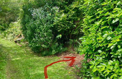 Creative Art Cabin, Causeway Coast, beach 10 mins - Foto 33