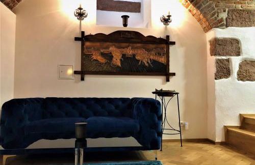 Historical Luxury Homes - Luxus Suite Colloseum - Foto 26