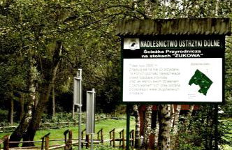 Apartament w Bieszczadach - Willa Stasia - Foto 13