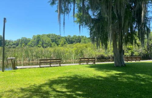 Professor Rousseau's Manatee Bay - Foto 17