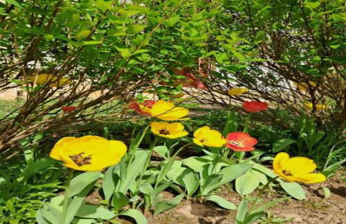 Holiday Home near Paris with Garden - Foto 35