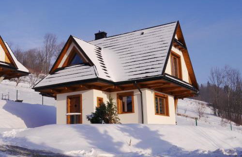 Domki Górskie Widoki - Foto 43