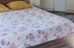 La Charmeraie adorable chaumière dans un écrin de verdure - Foto 13