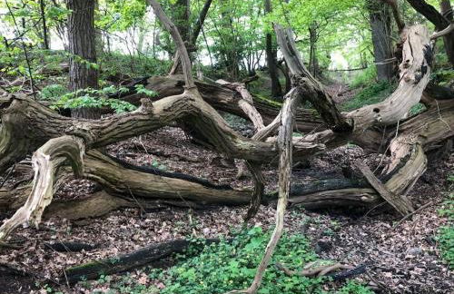 Holiday home "Treehouse" - Foto 35