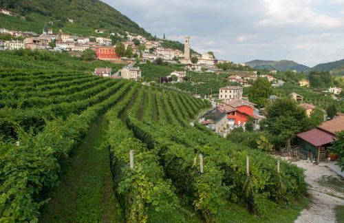 Agriturismo Vigneto Vecio - Foto 6