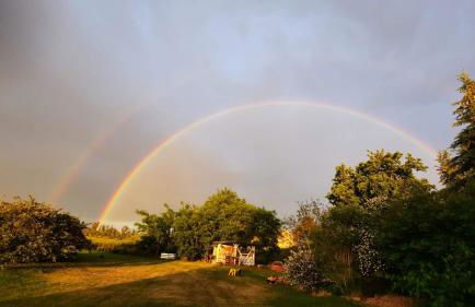 Ferienwohnung mit Elbwiesenblick - Foto 14