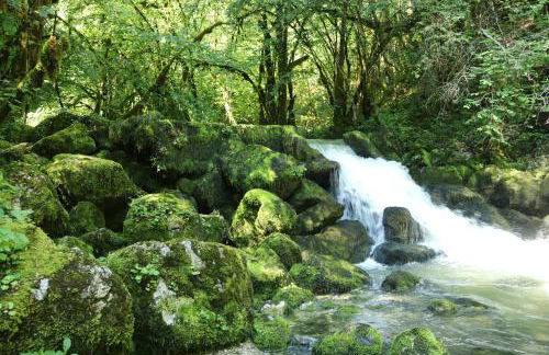 Au Coeur de Prémanon - Foto 37