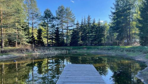 SHROOM & WATER chill calm nature - Foto 2