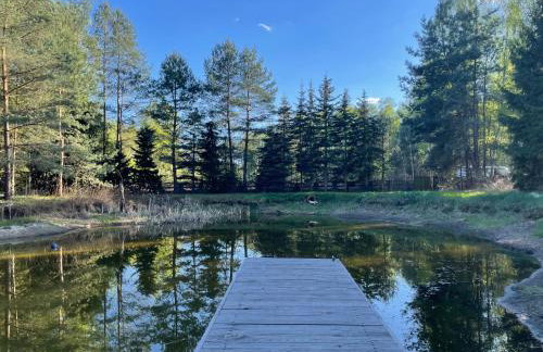 SHROOM & WATER chill calm nature - Foto 2
