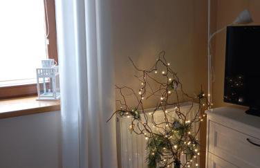 Przytulne Studio Borówkowy Zagajnik - Foto 6