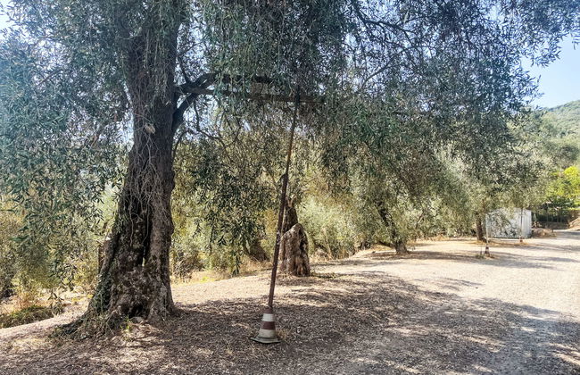 Casa Simona (DOL134) - Foto 14