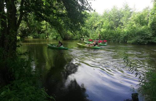 Agroturystyka domki nad rzeką Bałtów kajaki rowery klima basen ryby full - Foto 4
