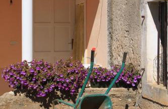 Apartments with a parking space Ugljan - 8416 - Foto 16