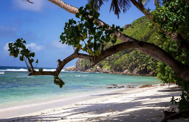 Surfers Self-Catering Chalets - Photo 27