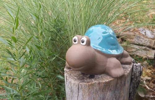 Aux couleurs de la terre d'oc - Foto 30