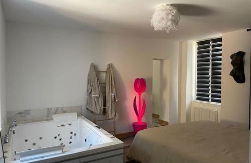 Gite balnéo - Photo 6