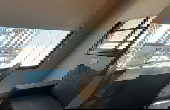 Olivos de Monte - Foto 23