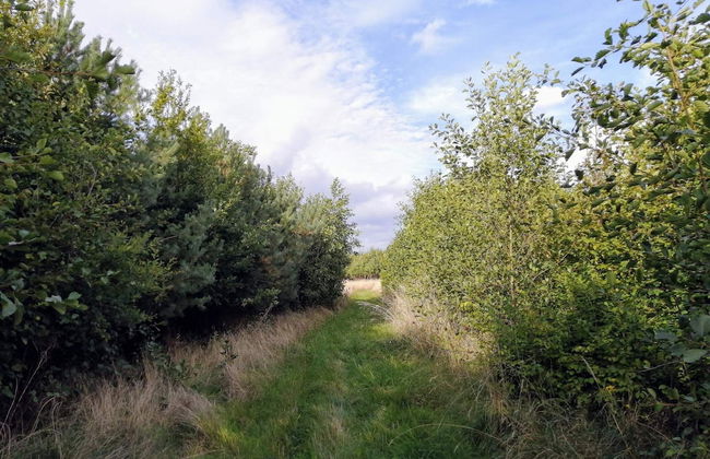 6 Person Holiday Home in Stege - Foto 18