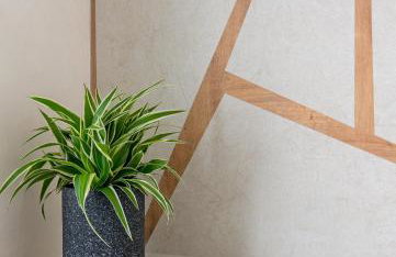 Anestorema House - Foto 17