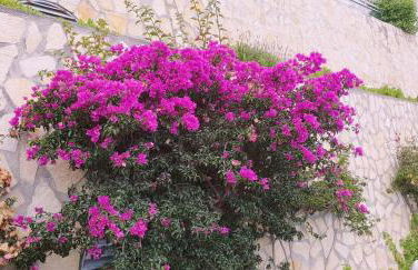 La terrazza di monaco - Foto 5