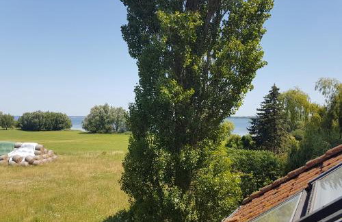 Haus Müritz, FeWo 15 Seeadler - Foto 19