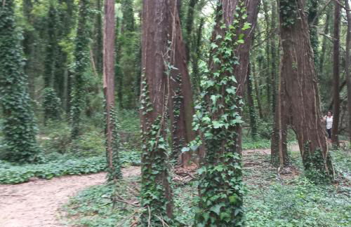 Villa Luna - Foto 24