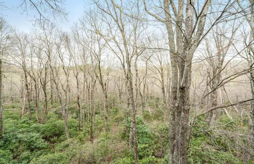 Yonahlossee Mountain Magic - Foto 42