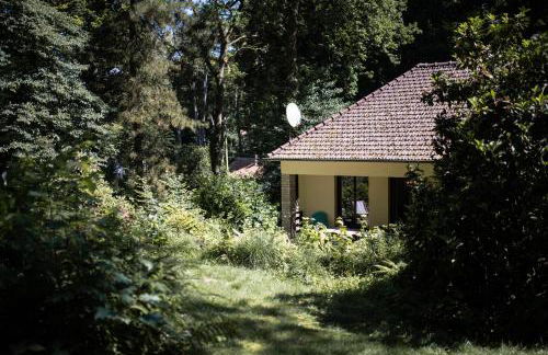 Gîte du vieux chêne - 6pers. - Jardin arboré - Foto 20