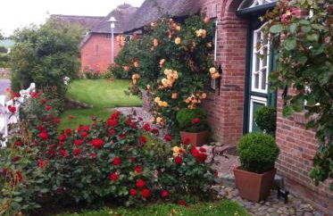 Das Rosenhaus - Photo 19