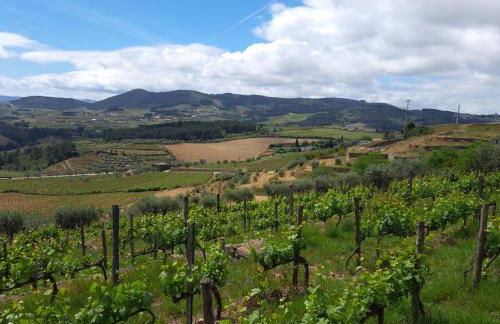 Quinta Soutelinho - Foto 67