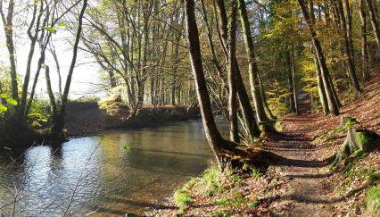 Ferienwohnung Koch - Foto 5