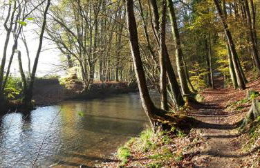 Ferienwohnung Koch - Foto 5