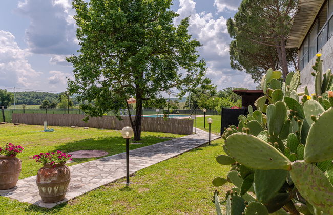 Marinpietri - Foto 44