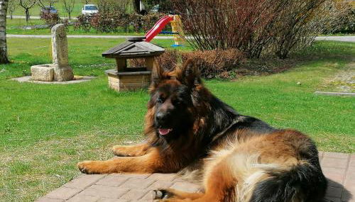 Casa Teresa - Foto 5