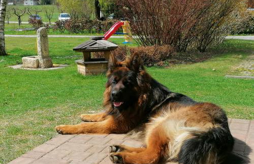 Casa Teresa - Foto 5