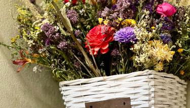 DeTillierStudiò2 - Foto 2