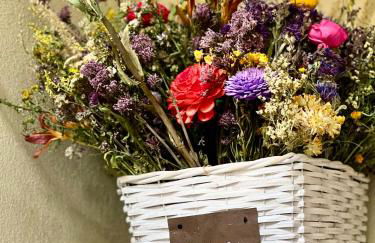 DeTillierStudiò2 - Foto 2