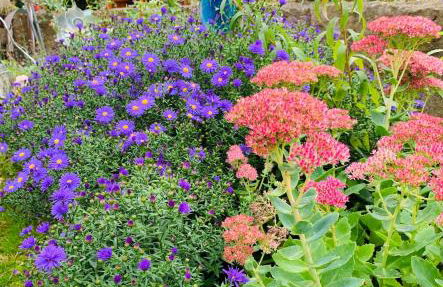 Kleines Glück - Foto 21