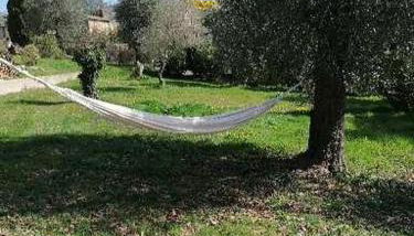 Studio au milieu d une oliveraie Le Mas de la huppe - Foto 3