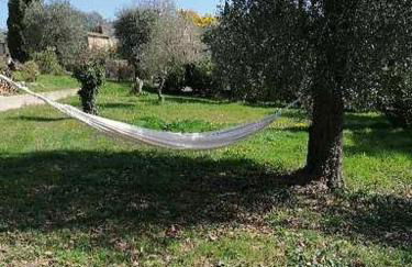 Studio au milieu d une oliveraie Le Mas de la huppe - Foto 3