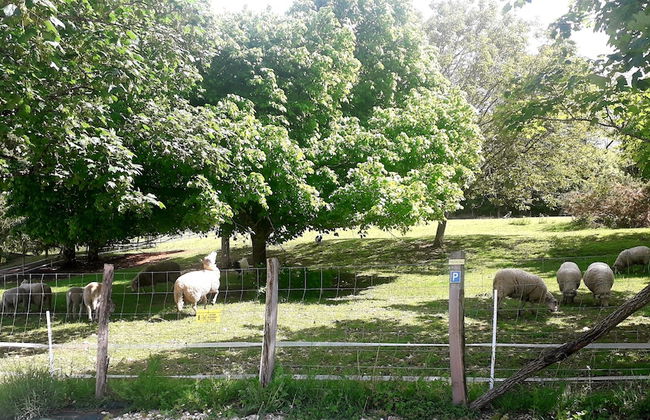 Les Gîtes de Petrocoriis - Foto 64