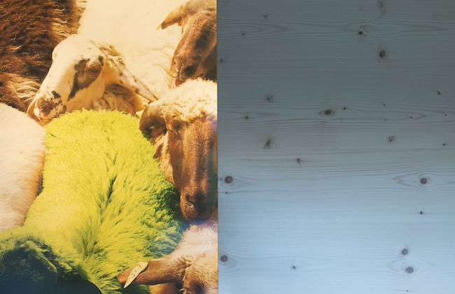 Ferienwohnungen am Berg - Giatla Haus - Foto 17