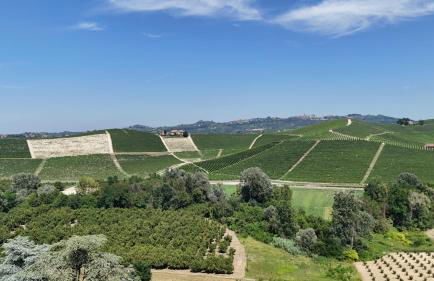 Casa di Chica - Foto 16